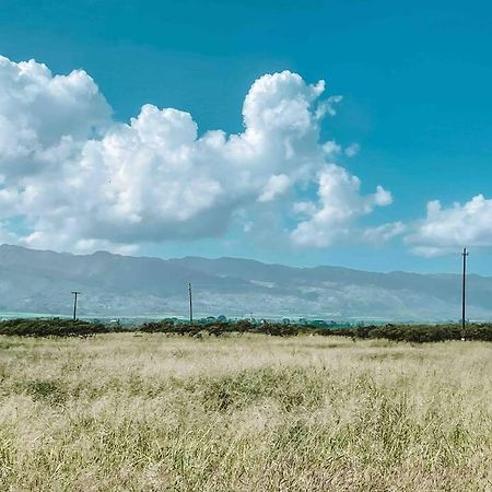 Cute Off Grid Glampsite With Wifi- 5 Min From Haleiwa Town Hotel Buitenkant foto