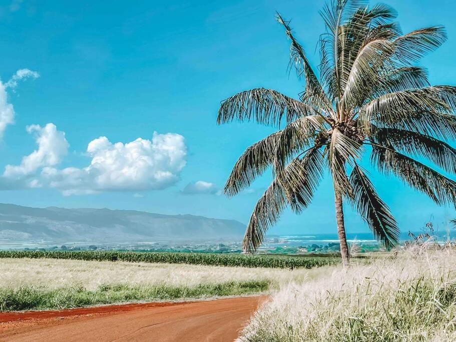 Cute Off Grid Glampsite With Wifi- 5 Min From Haleiwa Town Hotel Buitenkant foto