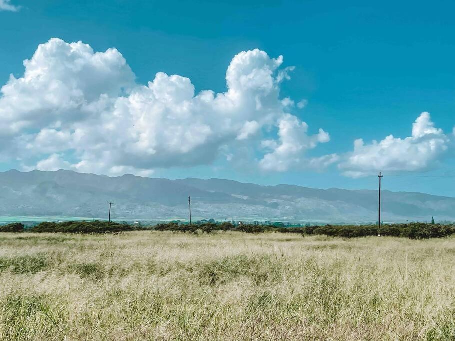 Cute Off Grid Glampsite With Wifi- 5 Min From Haleiwa Town Hotel Buitenkant foto