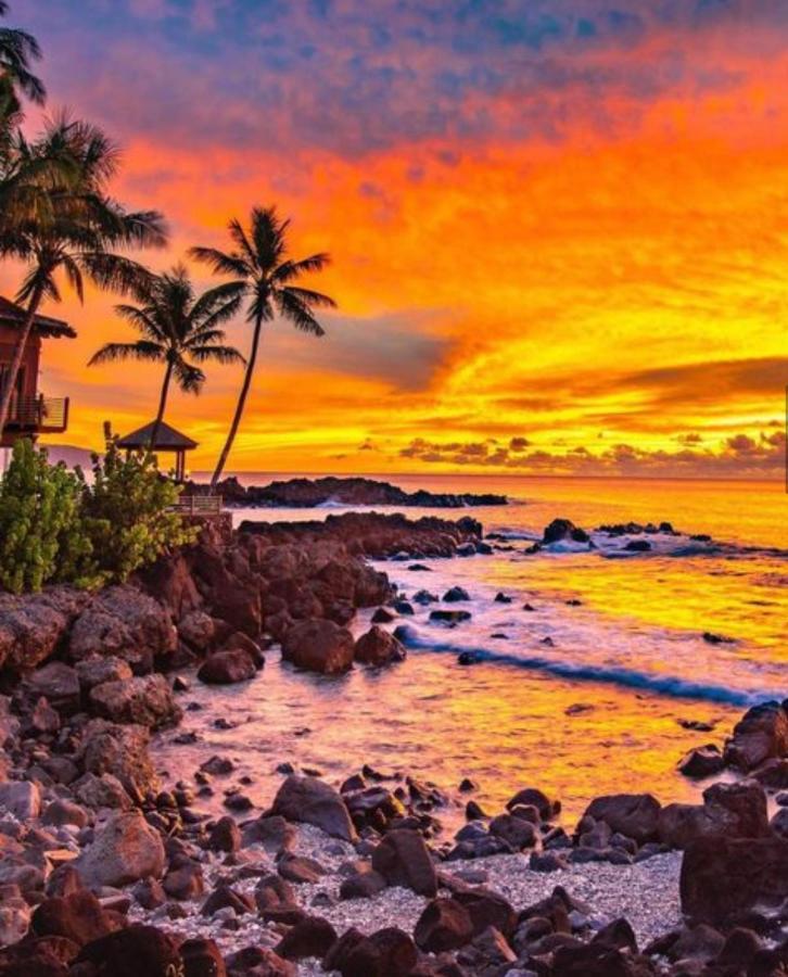 Cute Off Grid Glampsite With Wifi- 5 Min From Haleiwa Town Hotel Buitenkant foto